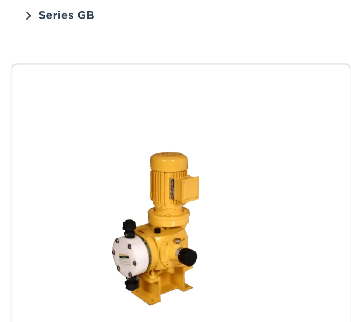 Dozing and Chemical Pumps