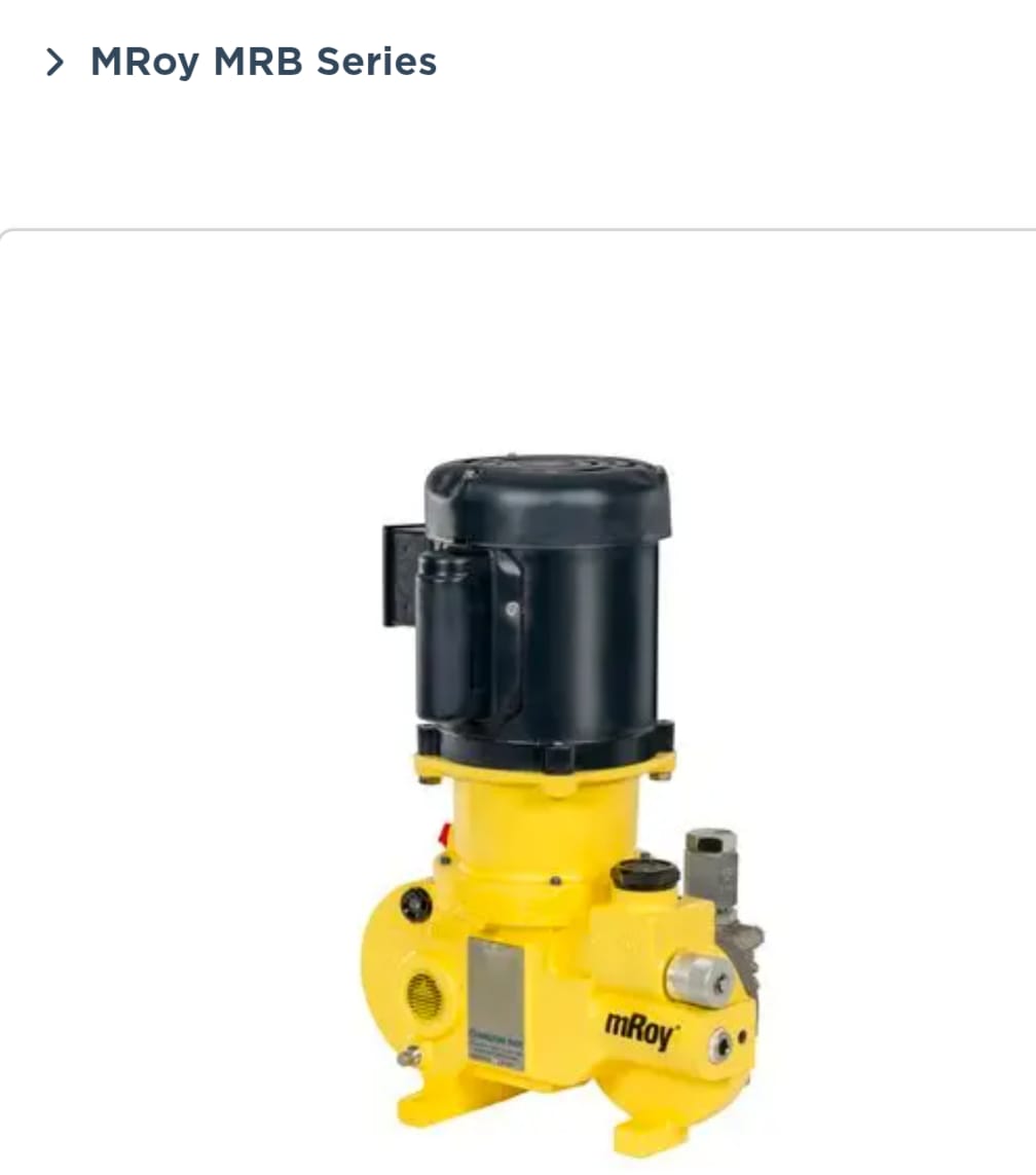 Dozing and Chemical Pumps