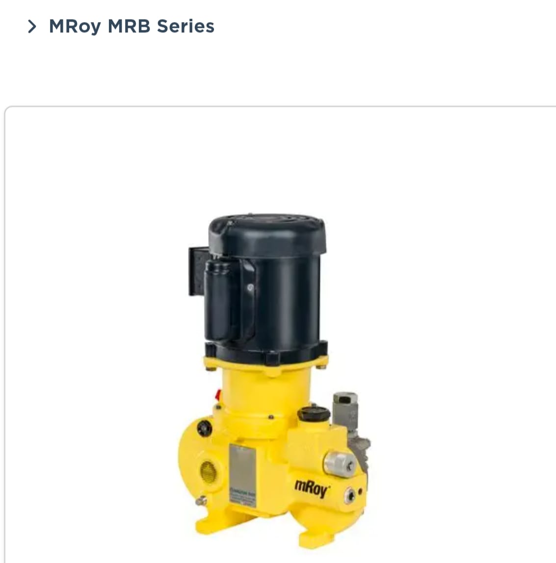 Dozing and Chemical Pumps