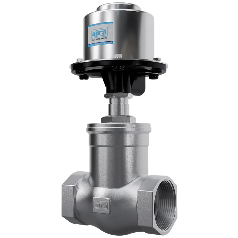 Globe-Type-On-Off-SS-Cap-Screwed-Control-Valve-06